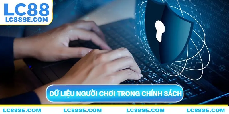 Dữ liệu người chơi được dùng trong chính sách